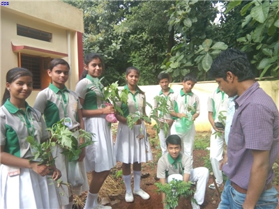 GREEN SCHOOL DAY 3